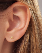 Piercing Araña Oro 18k