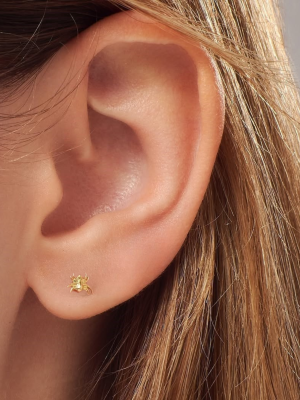 Piercing Araña Oro 18k