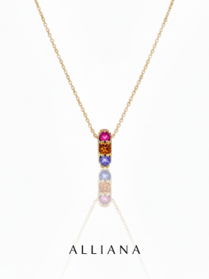 Dije Rueda Multicolor