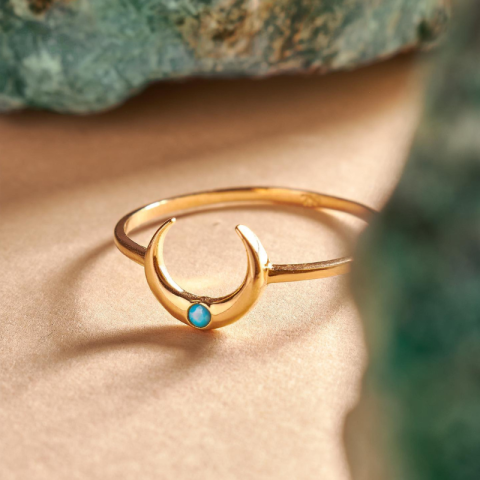 Anillo Medialuna II