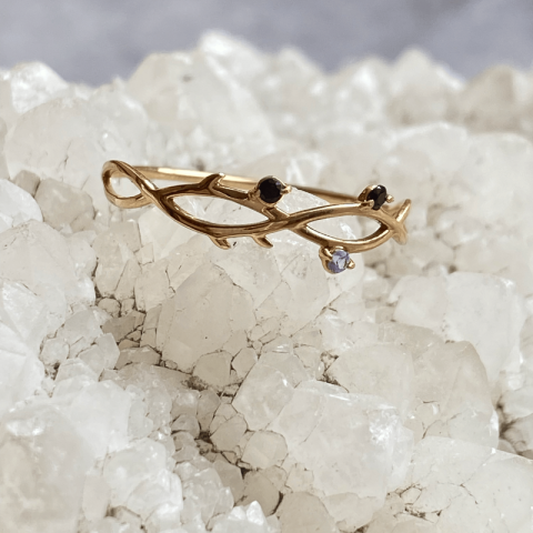 Anillo Conexión