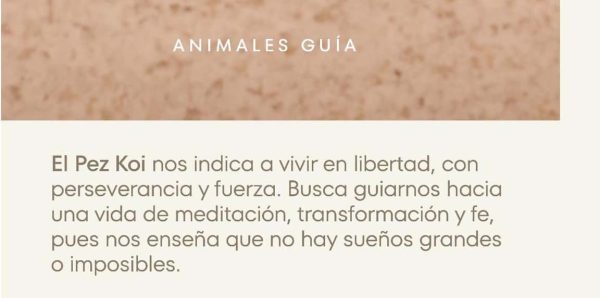 Piercing Pez Koi Oro 18K