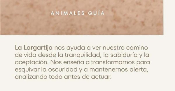 Piercing Iguana Oro 18K