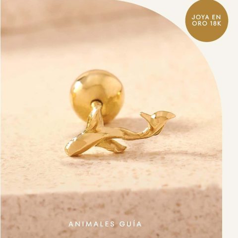 Piercing Pez Koi Oro 18K